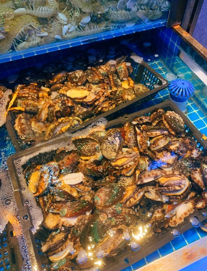 大寧龍魚店【大眾點評吃喝玩樂精選】