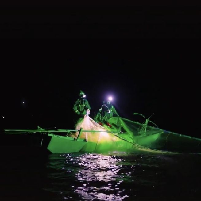 魚治寄生蟲最快方法【魚身上有寄生蟲用什么藥魚體表有蟲用什么藥治療看完就明白了】