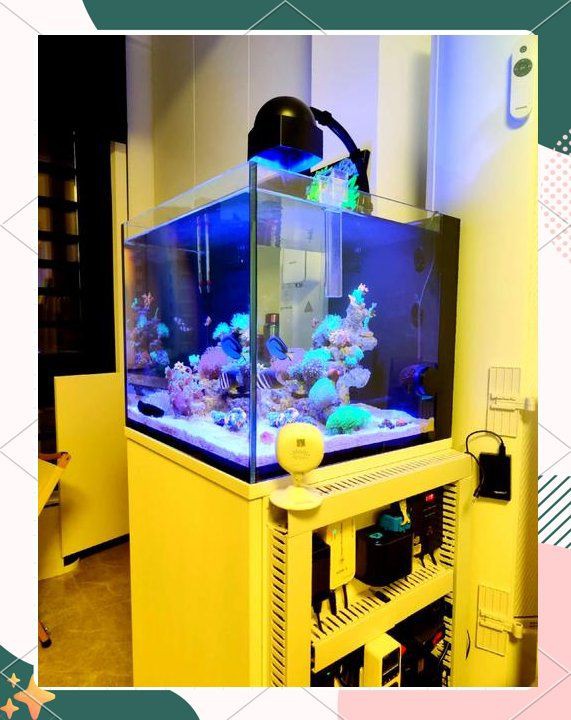 光特億魚缸照明燈【光特億魚缸照明燈系列涵蓋多種功能型產品滿足不同水族需求】