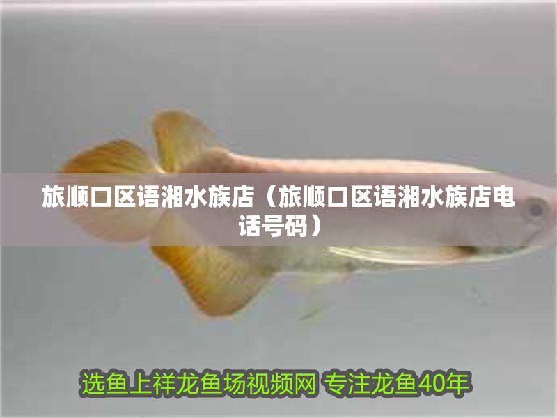 旅順龍魚(yú)店【大連旅順口區(qū)語(yǔ)湘水族店(大眾點(diǎn)評(píng)大眾點(diǎn)評(píng)】