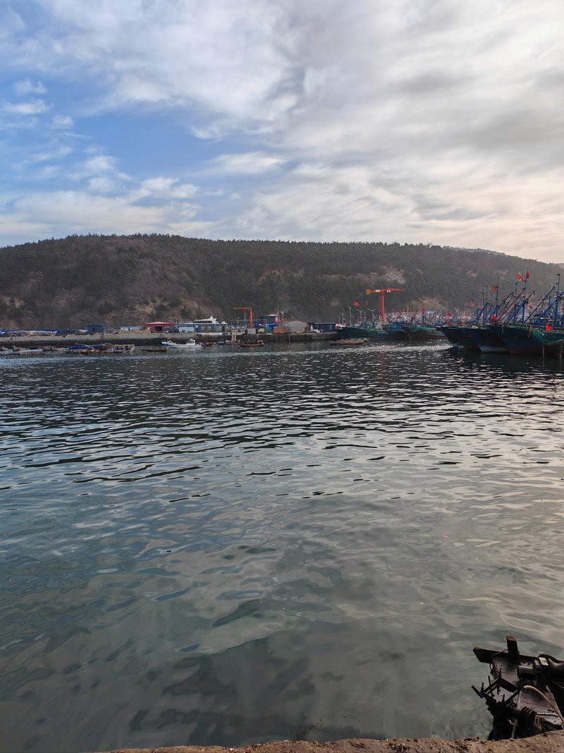 旅順龍魚(yú)店【大連旅順口區(qū)語(yǔ)湘水族店(大眾點(diǎn)評(píng)大眾點(diǎn)評(píng)】