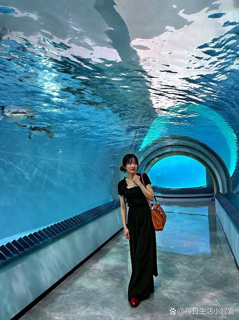 哈爾濱水族店【哈爾濱市區有哪些受歡迎的水族店】 哈爾濱水族店【哈爾濱市區有哪些受歡迎的水族店】 全國水族館企業名錄 第2張