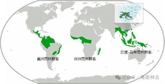 熱帶雨一共發(fā)生了多少次【探尋熱帶雨林的，在赤道兩側(cè)延伸】