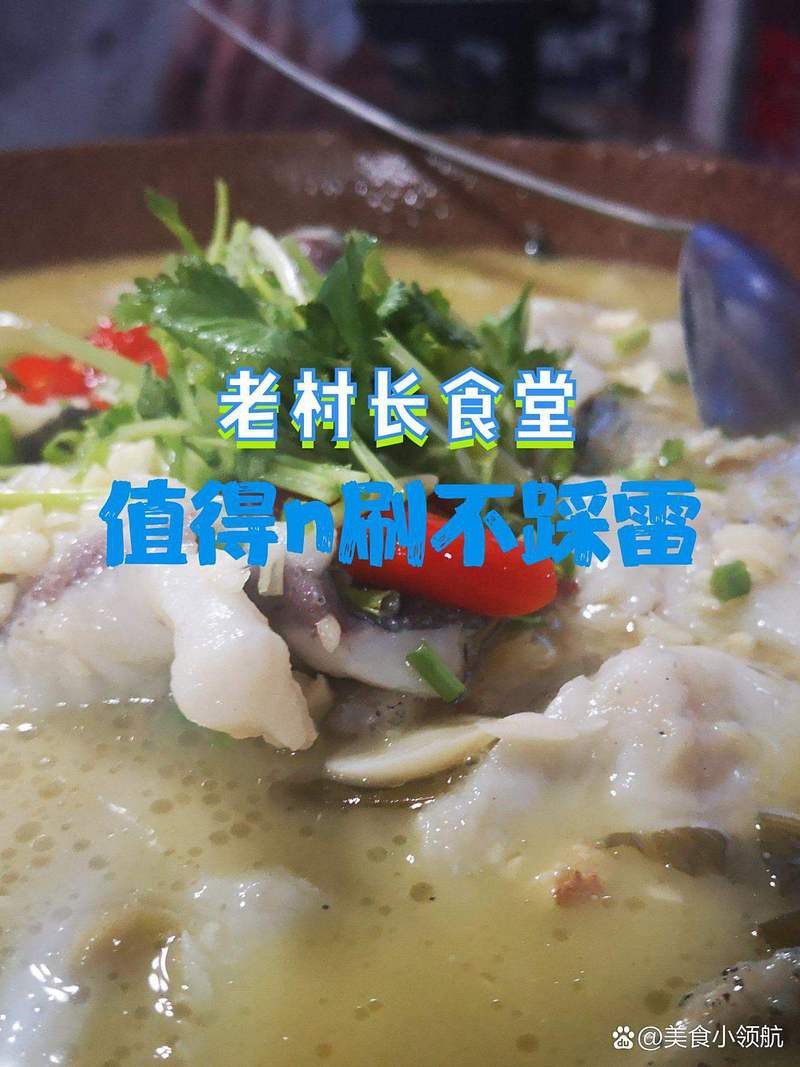八宿龍魚店【八宿地區有哪些特色美食】