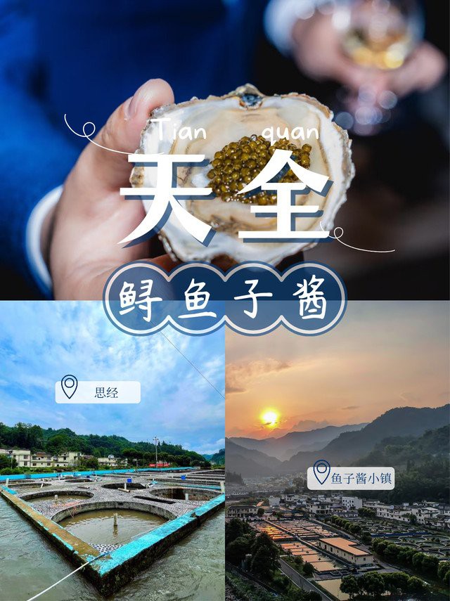 八宿龍魚店【八宿地區有哪些特色美食】