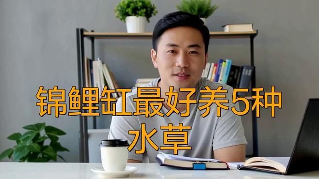 鯉魚吃什么草長得快【《鯉魚吃什么草長得快》錦鯉缸最好養5種水草甜喵研究所】