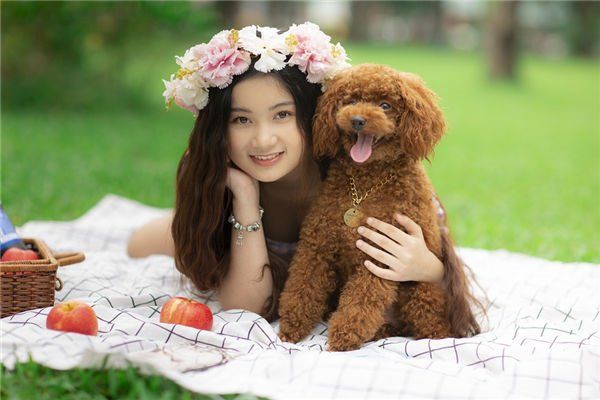 招財牛需要開光嗎？【招財牛擺件是否需要開光取決于其材質(zhì)和用途】