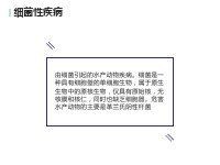 水產細菌性疾病大全【水產養殖中常見的細菌性疾病】 龍魚百科 第1張 水產細菌性疾病大全【水產養殖中常見的細菌性疾病】 水產細菌性疾病大全【水產養殖中常見的細菌性疾病】 龍魚百科 第1張