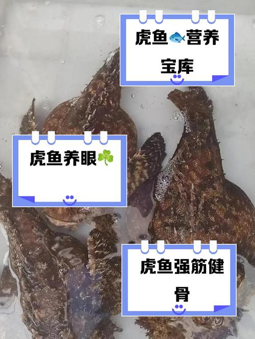 淡水虎魚圖片【快速前進追光者，國際上承認的多種虎魚】