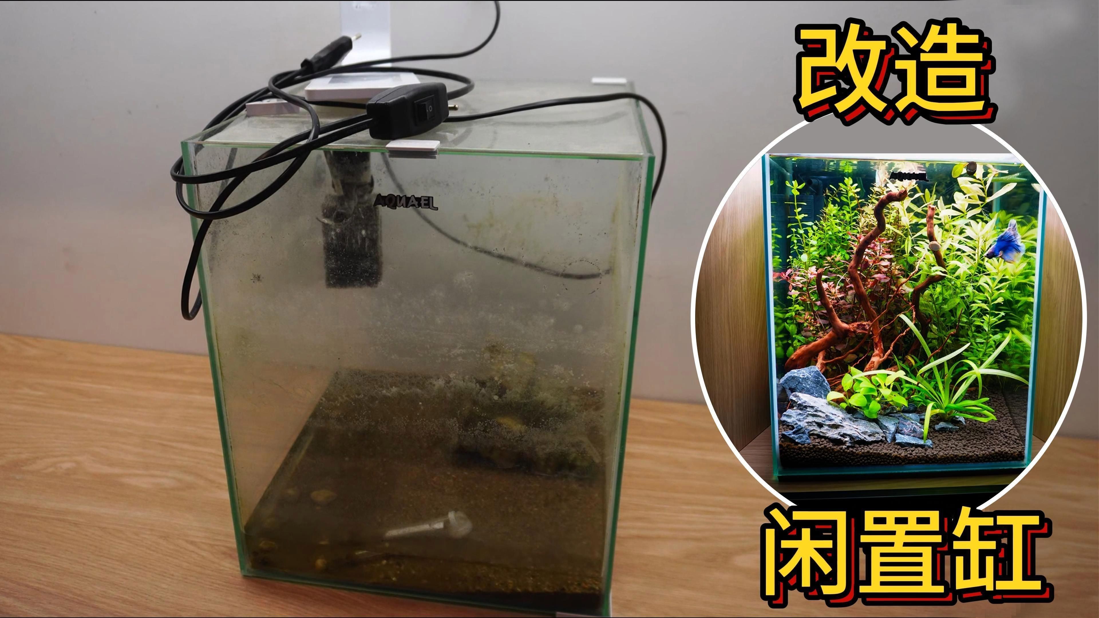 舊魚缸不想要了怎么處理【嗶哩嗶哩舊魚缸改造攻略】