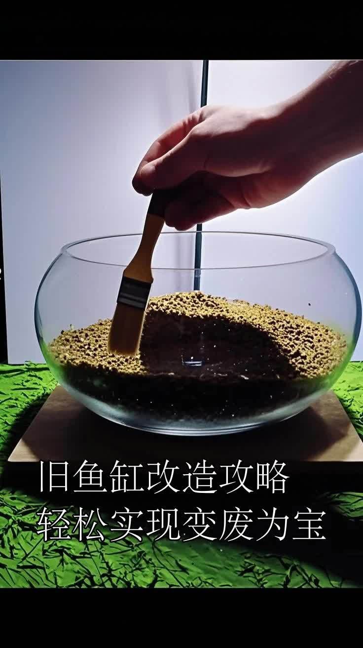 舊魚缸不想要了怎么處理【嗶哩嗶哩舊魚缸改造攻略】