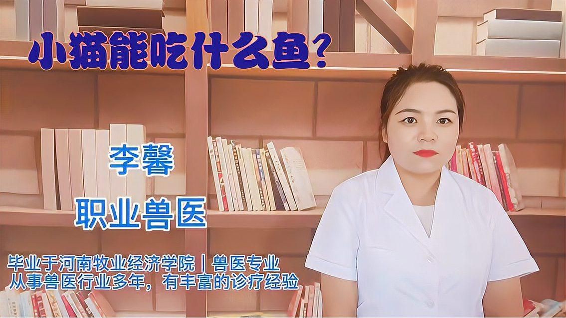 貓可以吃什么魚比較好【貓可以吃什么魚比較好[emoji]2728[/emoji]】