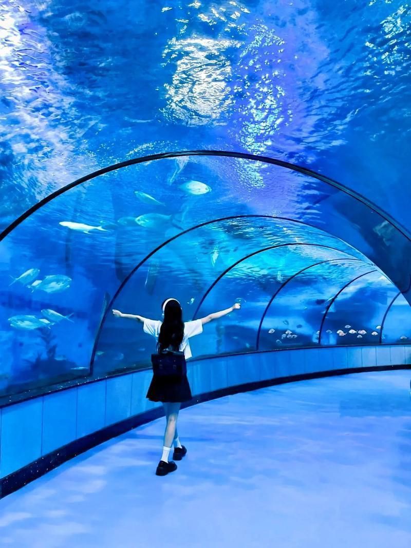 金華水族館，婺州金華水族館探秘海洋生態保護海洋生物學教授低聲嘆息