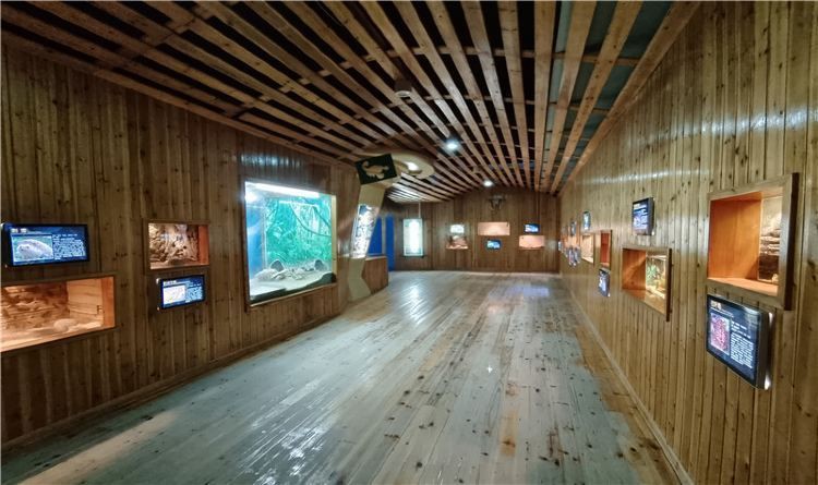 金華水族館，婺州金華水族館探秘海洋生態保護海洋生物學教授低聲嘆息