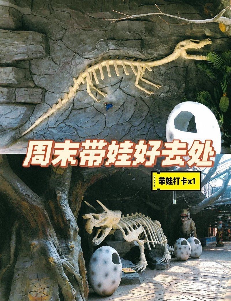 金華水族館，婺州金華水族館探秘海洋生態保護海洋生物學教授低聲嘆息