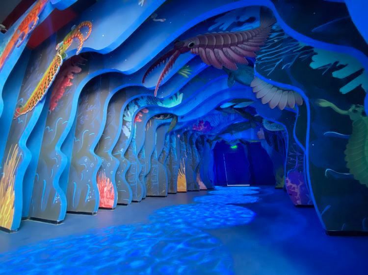 玉溪水族館【云南玉溪水族館探秘玉溪水族館：一場穿越99學術網(wǎng)】