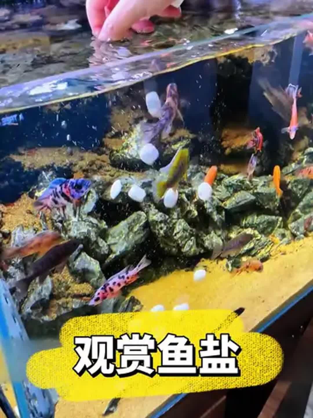 馬印水族魚鹽觀賞魚專用【養(yǎng)魚必備:觀賞魚專用鹽】