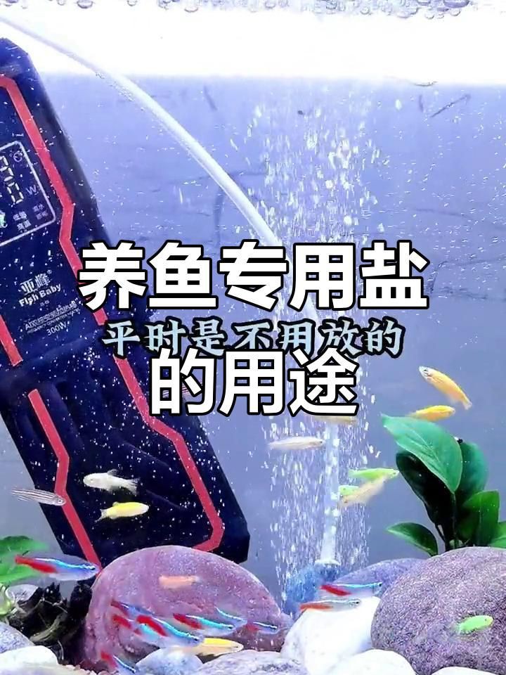 馬印水族魚鹽觀賞魚專用【養(yǎng)魚必備:觀賞魚專用鹽】