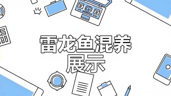 雷龍魚混養(yǎng)最佳搭配【《雷龍魚混養(yǎng)最佳搭配》】