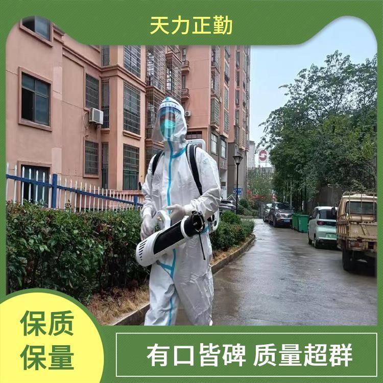 滅鼠上門【《滅鼠上門》在日常生活與工作中】