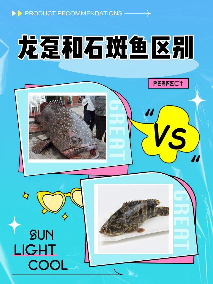 石斑和龍躉是一種魚嗎【石斑魚與龍躉有什么區別？】