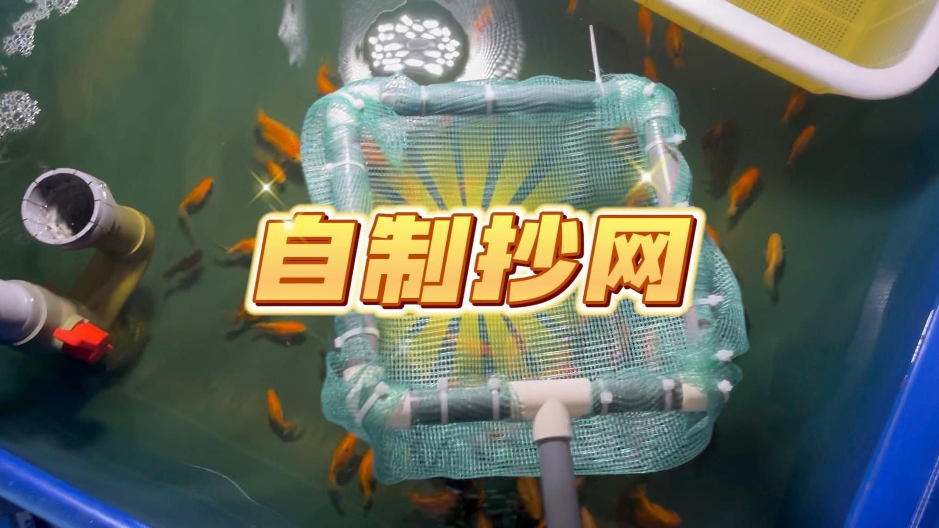 撈魚網子【“撈魚網子”作為傳統與現代結合的捕撈工具其功能和材質隨時代發展不斷演變】