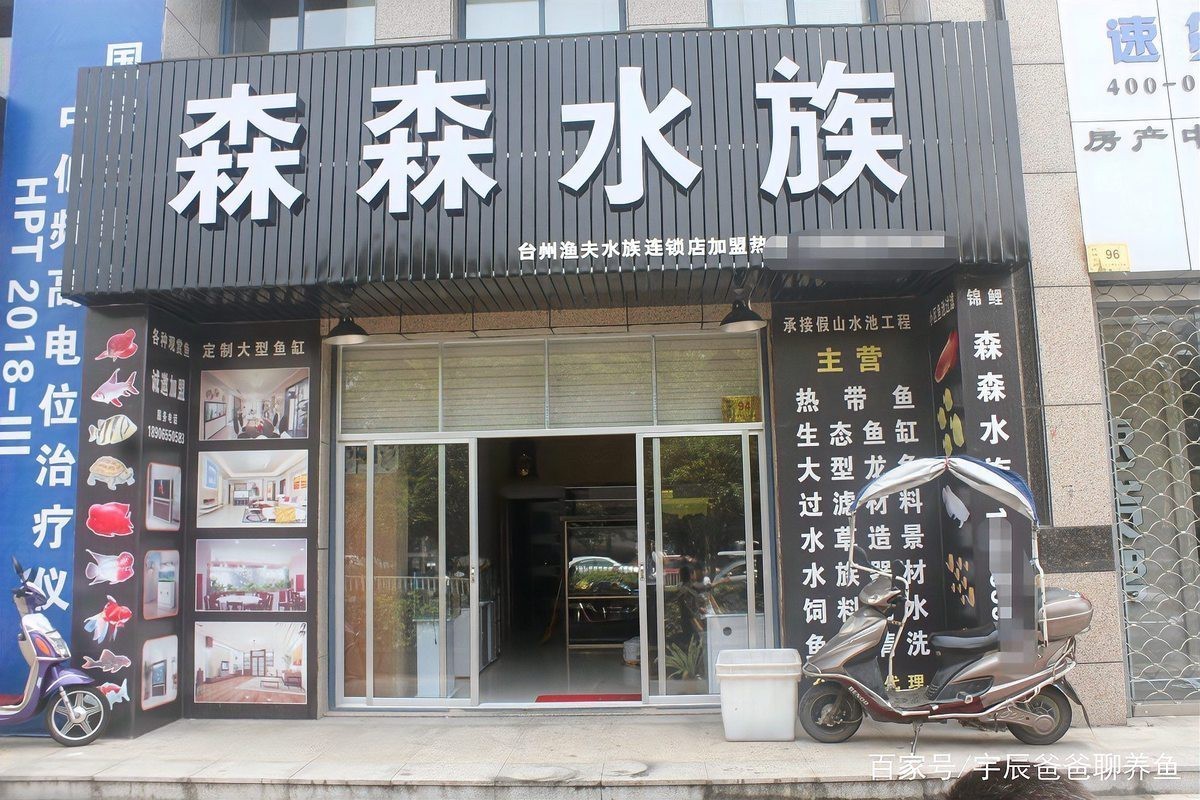 前進水族店【前進水族店有哪些特色產品】