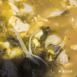 晉州龍魚店【喵鯊豆花魚火鍋探店記】
