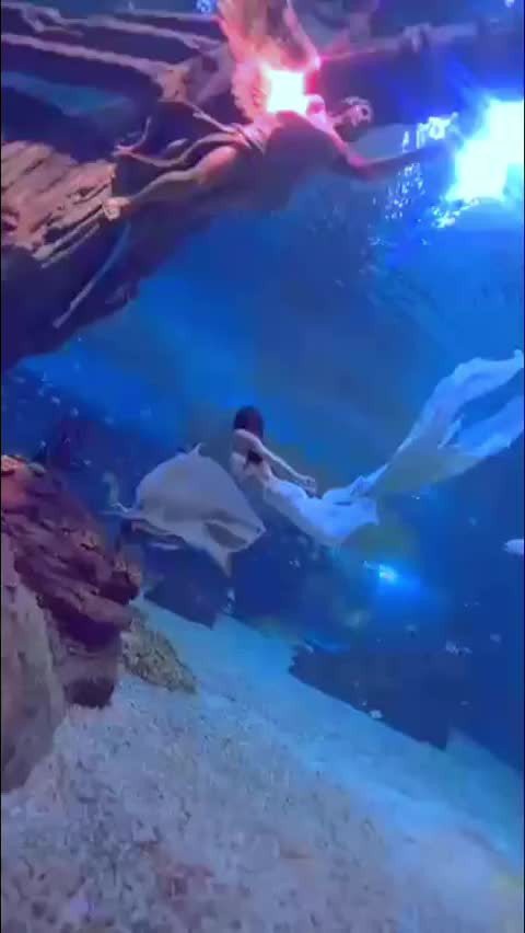 南山水族店【深圳南山水族店中哪家口碑最好龍威水族店具體地址在哪里】