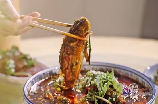 大足龍魚店【大足的龍魚店哪家口碑最好】