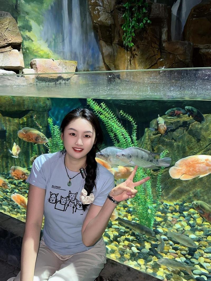 曹縣水族店【山東菏澤曹縣七秒水族店詳細信息整理曹縣可麗愛水族館】