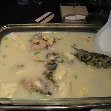 吉蘭泰龍魚店【吉蘭泰龍魚店的口碑如何】
