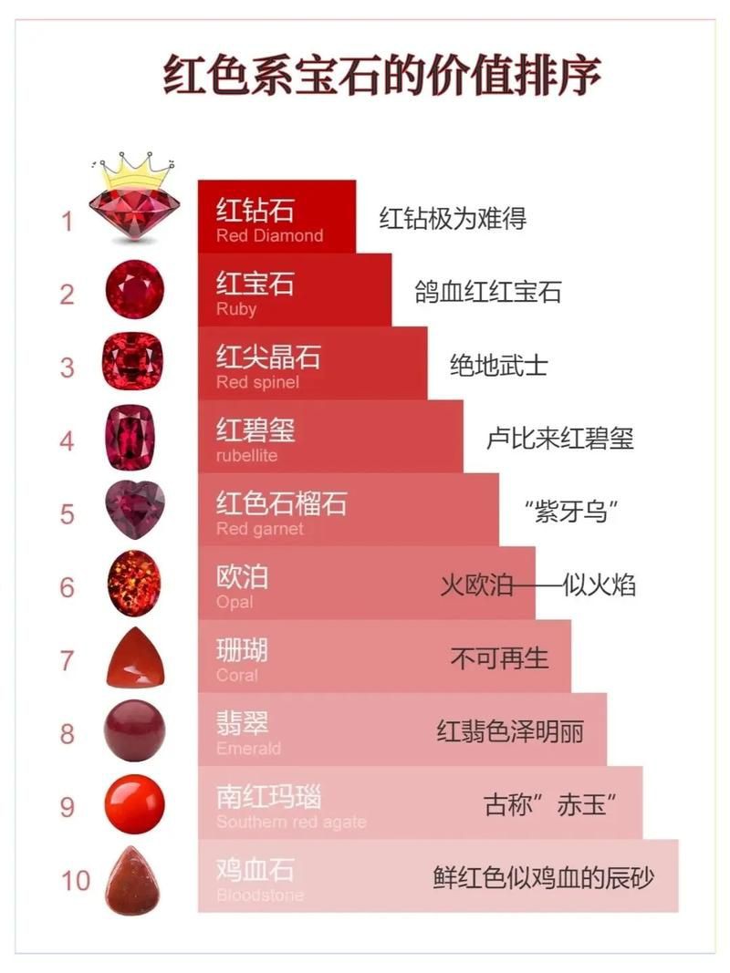 紅寶石公母對照圖【關于紅寶石魚公母區(qū)分的詳細對照指南，助力飼養(yǎng)者精準判斷】 紅寶石公母對照圖【關于紅寶石魚公母區(qū)分的詳細對照指南，助力飼養(yǎng)者精準判斷】 龍魚論壇 第20張