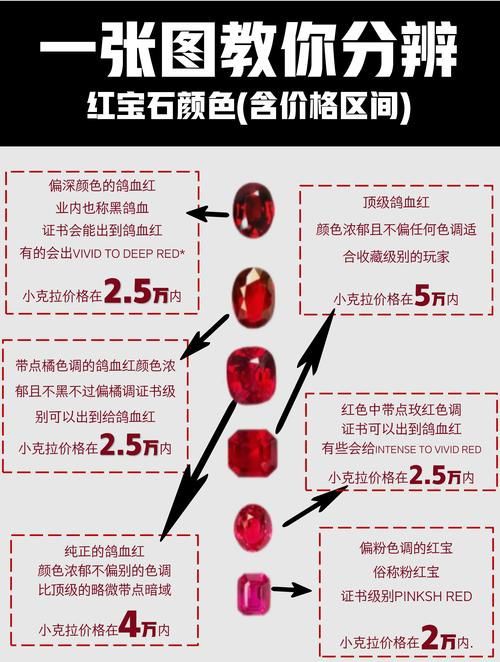 紅寶石公母對照圖【關于紅寶石魚公母區(qū)分的詳細對照指南，助力飼養(yǎng)者精準判斷】 紅寶石公母對照圖【關于紅寶石魚公母區(qū)分的詳細對照指南，助力飼養(yǎng)者精準判斷】 龍魚論壇 第13張