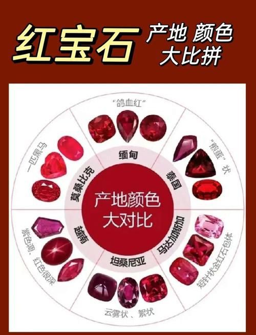 紅寶石公母對照圖【關于紅寶石魚公母區(qū)分的詳細對照指南，助力飼養(yǎng)者精準判斷】 紅寶石公母對照圖【關于紅寶石魚公母區(qū)分的詳細對照指南，助力飼養(yǎng)者精準判斷】 龍魚論壇 第15張