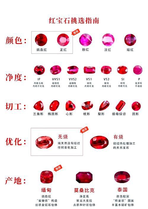 紅寶石公母對照圖【關于紅寶石魚公母區(qū)分的詳細對照指南，助力飼養(yǎng)者精準判斷】 紅寶石公母對照圖【關于紅寶石魚公母區(qū)分的詳細對照指南，助力飼養(yǎng)者精準判斷】 龍魚論壇 第9張