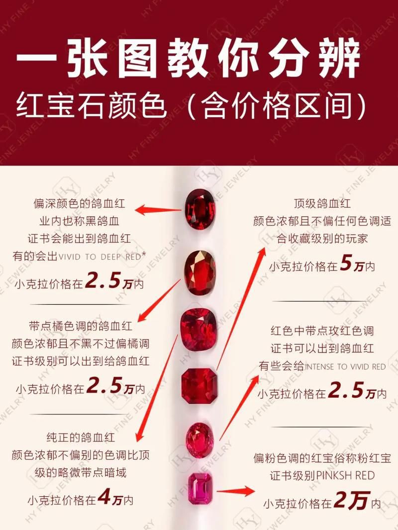 紅寶石公母對照圖【關于紅寶石魚公母區(qū)分的詳細對照指南，助力飼養(yǎng)者精準判斷】 紅寶石公母對照圖【關于紅寶石魚公母區(qū)分的詳細對照指南，助力飼養(yǎng)者精準判斷】 龍魚論壇 第6張