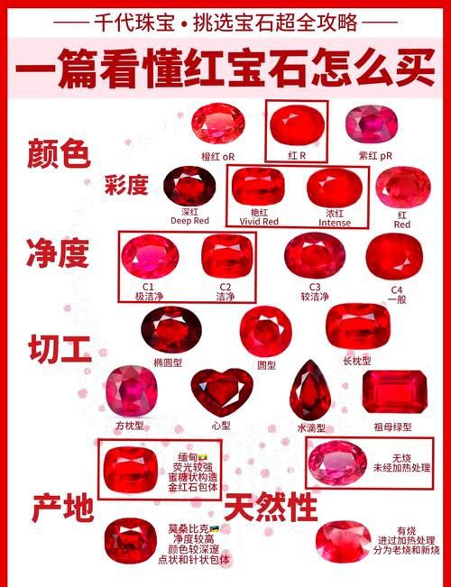 紅寶石公母對照圖【關于紅寶石魚公母區(qū)分的詳細對照指南，助力飼養(yǎng)者精準判斷】 紅寶石公母對照圖【關于紅寶石魚公母區(qū)分的詳細對照指南，助力飼養(yǎng)者精準判斷】 龍魚論壇 第19張