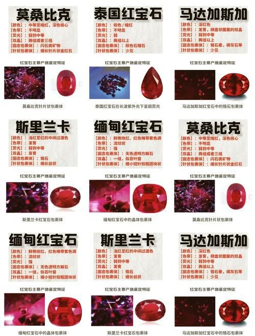 紅寶石公母對照圖【關于紅寶石魚公母區(qū)分的詳細對照指南，助力飼養(yǎng)者精準判斷】 紅寶石公母對照圖【關于紅寶石魚公母區(qū)分的詳細對照指南，助力飼養(yǎng)者精準判斷】 龍魚論壇 第16張