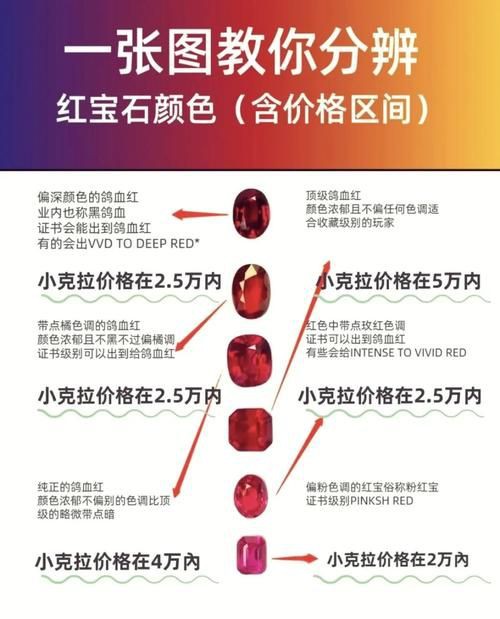 紅寶石公母對照圖【關于紅寶石魚公母區(qū)分的詳細對照指南，助力飼養(yǎng)者精準判斷】 紅寶石公母對照圖【關于紅寶石魚公母區(qū)分的詳細對照指南，助力飼養(yǎng)者精準判斷】 龍魚論壇 第25張