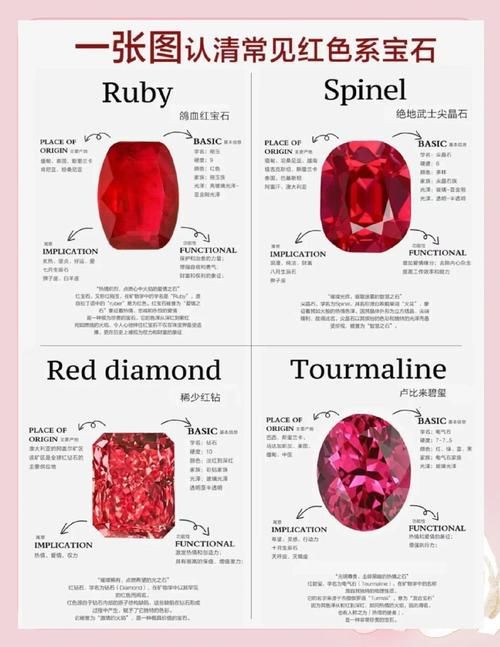 紅寶石公母對照圖【關于紅寶石魚公母區(qū)分的詳細對照指南，助力飼養(yǎng)者精準判斷】 紅寶石公母對照圖【關于紅寶石魚公母區(qū)分的詳細對照指南，助力飼養(yǎng)者精準判斷】 龍魚論壇 第12張