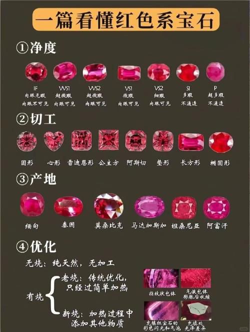 紅寶石公母對照圖【關于紅寶石魚公母區(qū)分的詳細對照指南，助力飼養(yǎng)者精準判斷】 紅寶石公母對照圖【關于紅寶石魚公母區(qū)分的詳細對照指南，助力飼養(yǎng)者精準判斷】 龍魚論壇 第26張