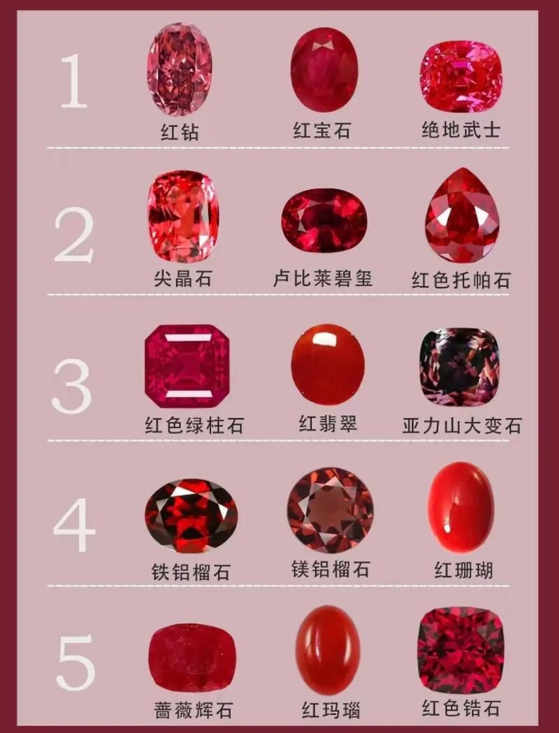 紅寶石公母對照圖【關于紅寶石魚公母區(qū)分的詳細對照指南，助力飼養(yǎng)者精準判斷】 紅寶石公母對照圖【關于紅寶石魚公母區(qū)分的詳細對照指南，助力飼養(yǎng)者精準判斷】 龍魚論壇 第4張