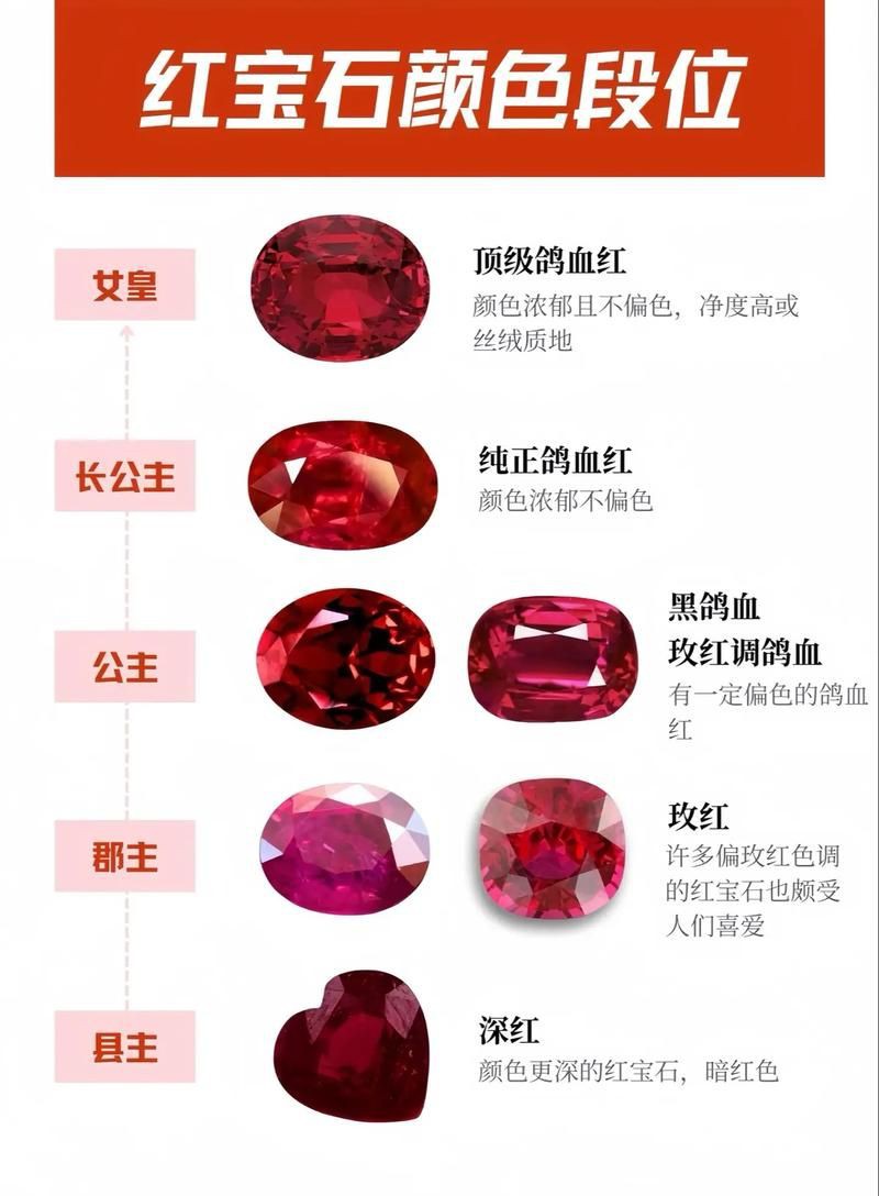 紅寶石公母對照圖【關于紅寶石魚公母區(qū)分的詳細對照指南，助力飼養(yǎng)者精準判斷】 紅寶石公母對照圖【關于紅寶石魚公母區(qū)分的詳細對照指南，助力飼養(yǎng)者精準判斷】 龍魚論壇 第11張