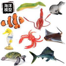 球鯊魚多少錢一條【鯊魚交易背后的生態(tài)警示——】