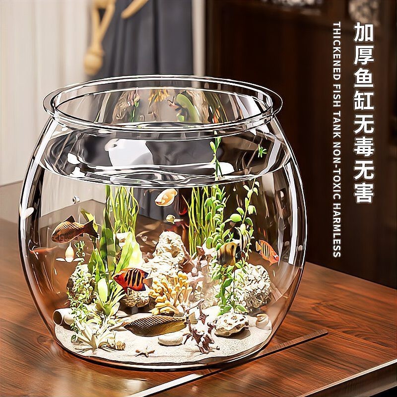 什么牌子的水族箱靜音【靜音水族之美——2025年靜音水族箱品牌排行榜】