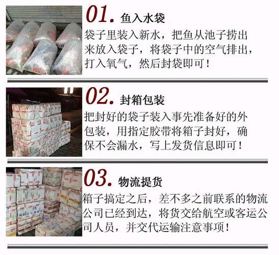 丹頂錦鯉價格圖片【丹頂錦鯉價格、種類及特征分析丹頂錦鯉魚多少錢一條】