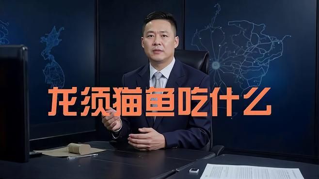 貓魚吃什么樣的食物【招財貓魚吃什么】 貓魚吃什么樣的食物【招財貓魚吃什么】 龍魚百科 第5張