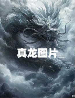 真龍圖片 霸氣【《真龍圖片霸氣》展現(xiàn)極具震撼力的真龍圖片娜娜壁紙】