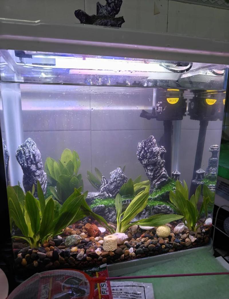 宿松水族店【宿松縣森森水族館有哪些特色產品】